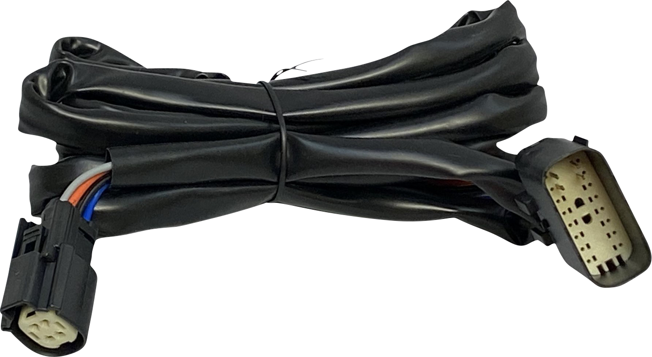 Harness - Rear Speakers - Tour-Pak