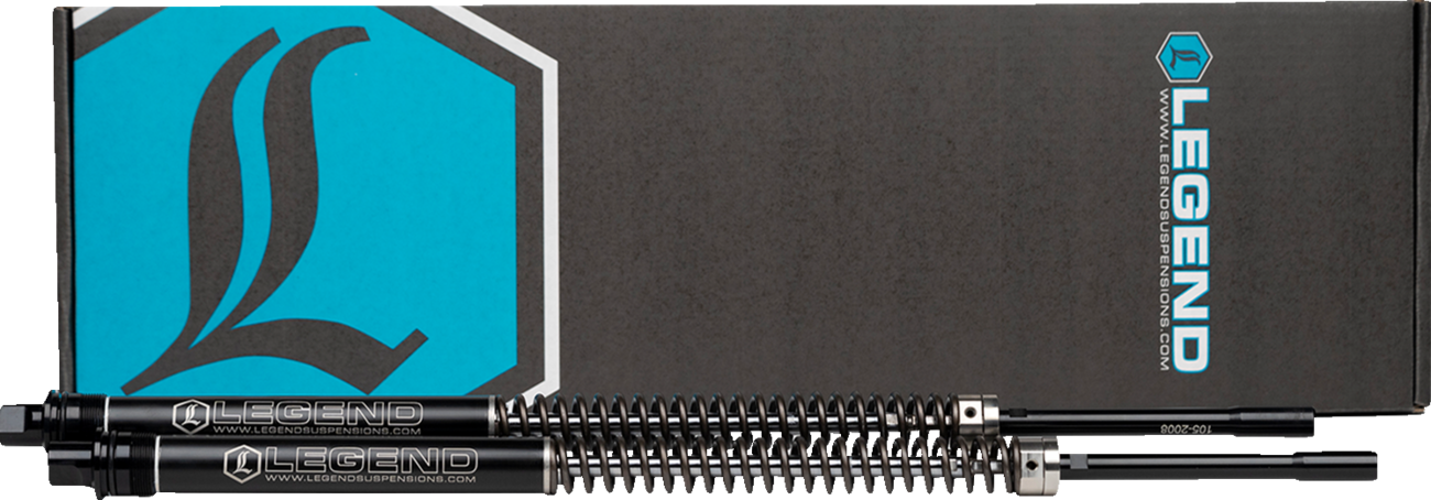AXEO Trike Front Suspension - Black - 41 MM - '09-'13 Tri-Glide Models