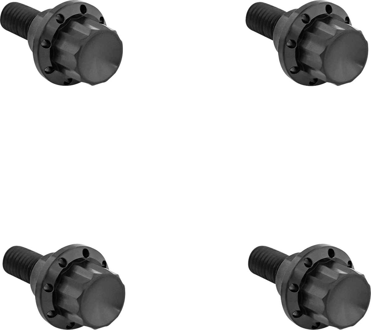 Windshield Titanium 12-Point Bolt Kit