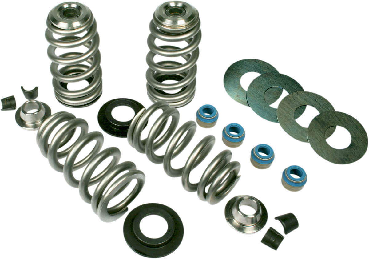 Valve Spring Kit - Endurance Beehive With TI Retainers - TC With SE Heads